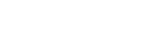 Excel Software Services logo